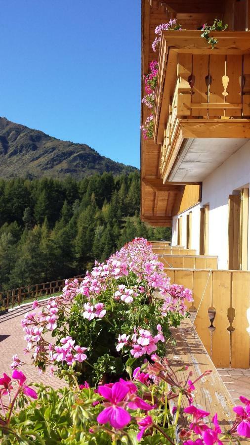 Hotel Belvedere Mountain Experience Monno Exterior foto